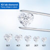 Heart Cut Lab Diamond Pendant