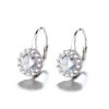 Sterling Silver Hook Earrings Zircon Claw Setting Classic