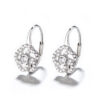 Sterling Silver Hook Earrings Zircon Claw Setting Classic