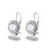 Sterling Silver Hook Earrings Zircon Claw Setting Classic