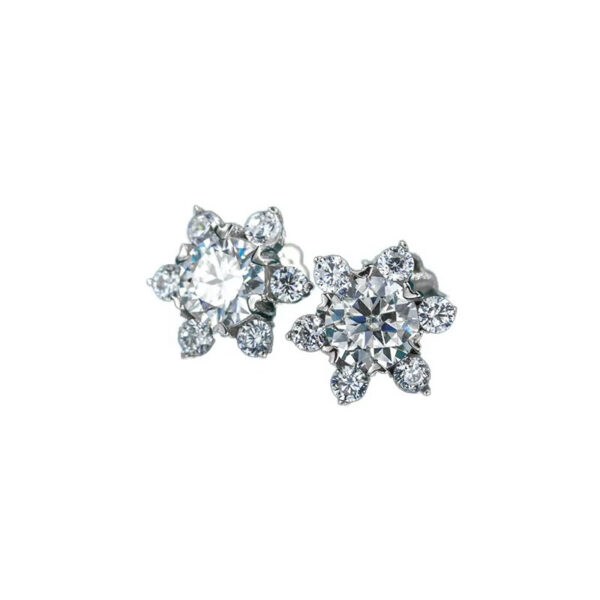Titanium Plated Lab Diamond Silver Luxury Earrings